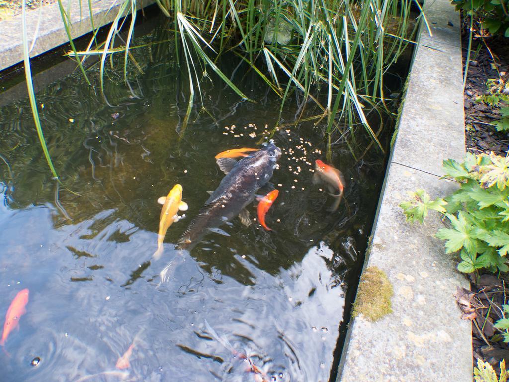 B&B E48 Brugge Buitenkant foto